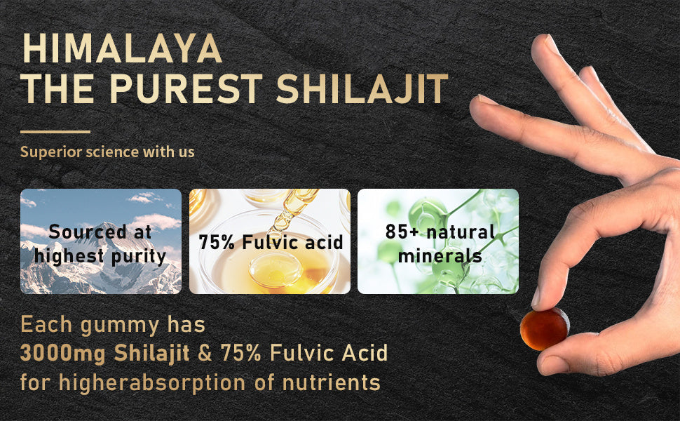 Pure Himalayan Shilajit Gold Gummies