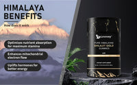 Pure Himalayan Shilajit Gold Gummies
